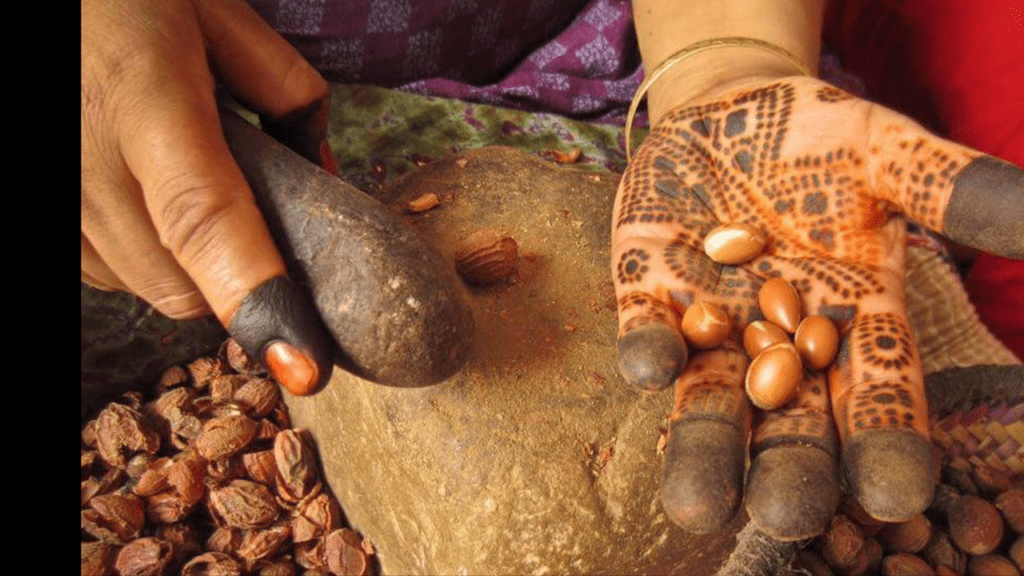Innovations in Argan Oil Production: Insights from Cooperatives