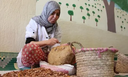 Challenges and Opportunities for Argan Oil Cooperative Members